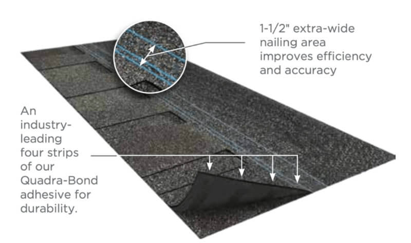 Roof Replacement 5